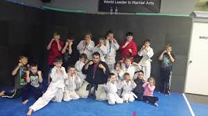 Image result for Cobra Karate Club