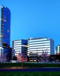 Image result for stamford cc