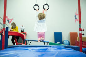 Image result for Northern Gymnastics Club CIC