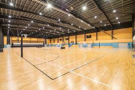 Image result for Sports Centre Netball