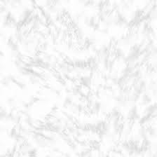 Image result for white rabbit skin texture