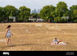 Image result for London Fields Cricket Club