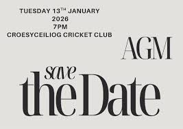 Image result for Croesyceiliog Cricket Club