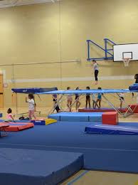 Image result for North East London Gymnastics Club