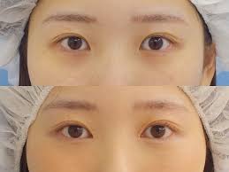 「烏頭目 いつわりびと空」の画像検索結果