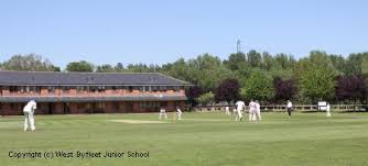 Image result for Byfleet Cricket Club