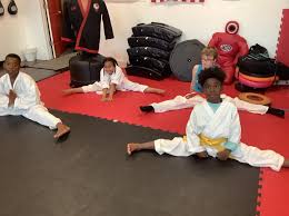 Image result for Red Dragon Taekwondo club