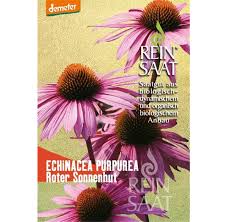 Image result for roter Sonnenhut