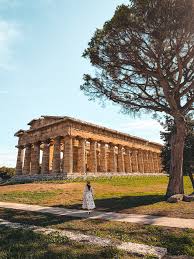 Image result for paestum