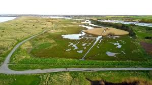 Image result for Warkworth Golf Club