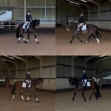 Image result for Liverpool Equestrian Club