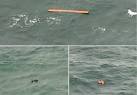 Debris of Missing AirAsia Flight Found, Say Officials