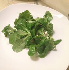 Image result for Feldsalat