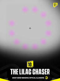 Image result for Lilac Chaser