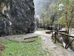 Risultati immagini per privazione della pheega