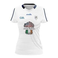 Image result for Wolfe Tones Gaelic Athletic Club