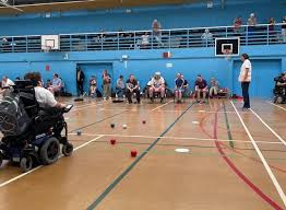 Image result for Well Being and Leisure Team (Boccia)