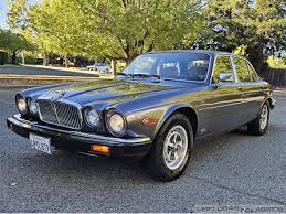 Image result for Argent Silver 1981 Jaguar