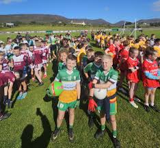 Image result for Drumgath Gaelic Football Club