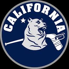 Image result for West Coast Wasps Skater Hockey Club