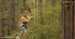Image result for Go Ape! Thetford