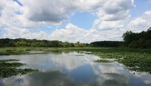 Image result for Slough