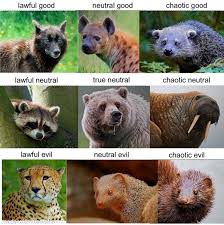 Attēlu rezultāti vaicājumam “Carnivora”