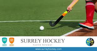 Image result for Mid Surrey Ladies Hockey Club