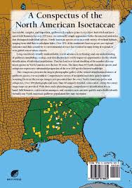 Attēlu rezultāti vaicājumam “Isoetaceae”