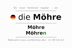 Image result for Möhren