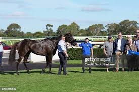 Image result for Sandown Sports Club