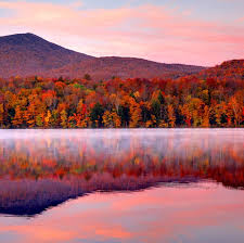 Bildergebnis für Fall…