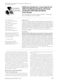 Attēlu rezultāti vaicājumam “Diderma chondrioderma sessile”