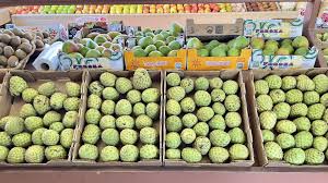 Image result for Thaddus Haenke