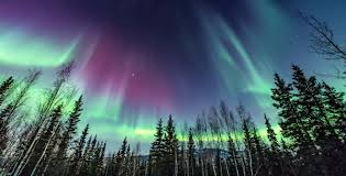 Image result for Northern