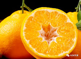 Image result for 春粒