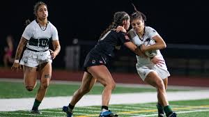 Attēlu rezultāti vaicājumam “Aranei exuvia”