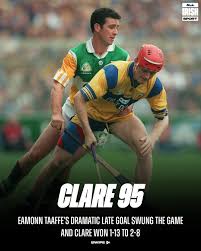 Image result for Clarehurlers