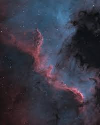 Attēlu rezultāti vaicājumam “Cygnus”