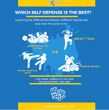 Image result for Combined self defence arts