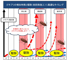 Image result for ゴキブリ報告所