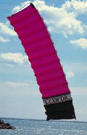 Image result for Baiter Power Kite