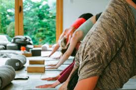 Image result for Hatha Yoga Club