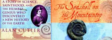 Image result for mountain top seashell