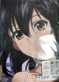 「南宮那月 ストライク・ザ・ブラッド」の画像検索結果