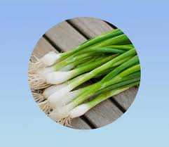 Résultat de recherche d'images pour "Allium fistulosum"
