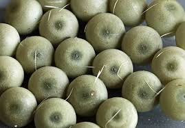 Attēlu rezultāti vaicājumam “Calliteara pudibunda larva”