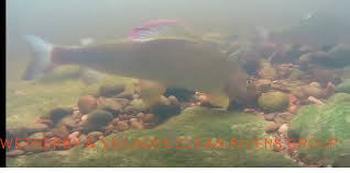 Image result for Wetherby Bowling Club