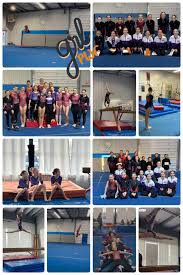 Image result for Phoenix Acro Gymnastics Club