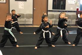 Image result for Villatoro Bushido Martial Arts
